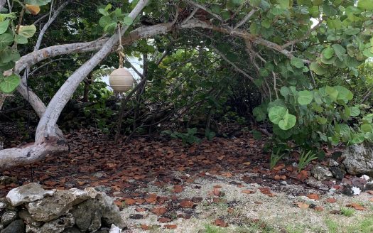 SOON COME – SOUTH SIDE EAST OCEAN FRONT LAND