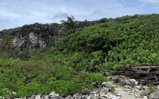 SOON COME – SOUTH SIDE EAST OCEAN FRONT LAND