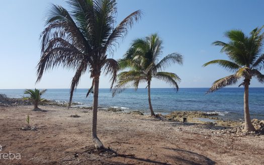 RARE 2.75-ACRE OCEANFRONT PARCEL ON THE NORTH SIDE OF CAYMAN BRAC – PRICE REDUCED!