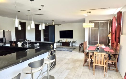 PEDRO CASTLE ROAD #245