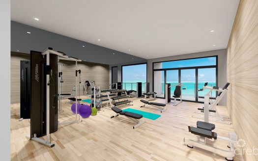 INDU UNIT #20 PENTHOUSE – 2BED PLUS DEN – 25% OFF FIRST 9 SALES