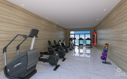 INDU UNIT #20 PENTHOUSE – 2BED PLUS DEN – 25% OFF FIRST 9 SALES