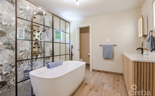 REMASTERED MID-CENTURY MODERN HOME