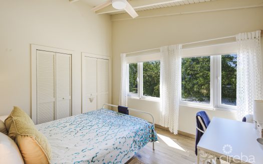 REMASTERED MID-CENTURY MODERN HOME