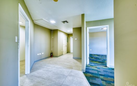 PROFESSIONAL OFFICE SUITE AT PALM GROVE