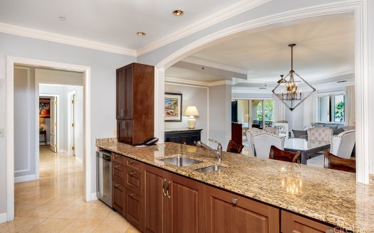 RITZ CARLTON RESIDENCE 408