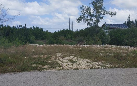 FILLED LOT ON CUL DE SAC IN STEPPING STONES AREA