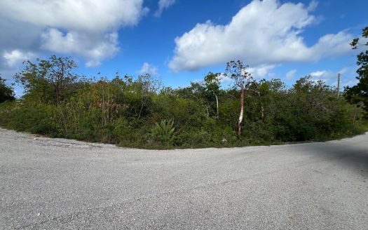 ORLEANS DRIVE BRAC PARCEL