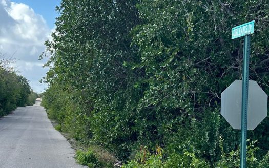 ORLEANS DRIVE BRAC PARCEL ORLEANS DRIVE BRAC PARCEL