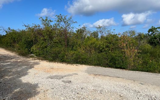 ORLEANS DRIVE BRAC PARCEL