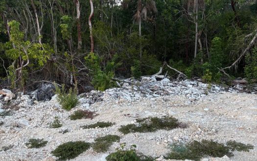 EAST END LAND PARCEL