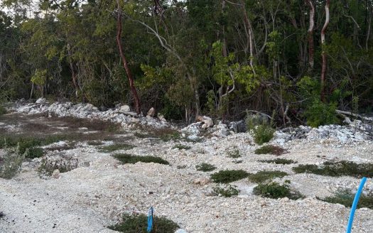 EAST END LAND PARCEL