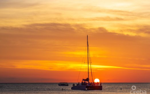 RITZ-CARLTON PRIVATE RESIDENCE #608 NORTH TOWER RITZ-CARLTON PRIVATE RESIDENCE #608 NORTH TOWER