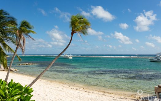 CARIB SANDS, BEACHFRONT LIVING CAYMAN BRAC CARIB SANDS, BEACHFRONT LIVING CAYMAN BRAC