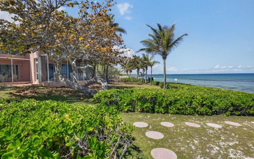 NORTHERN LIGHTS – END UNIT