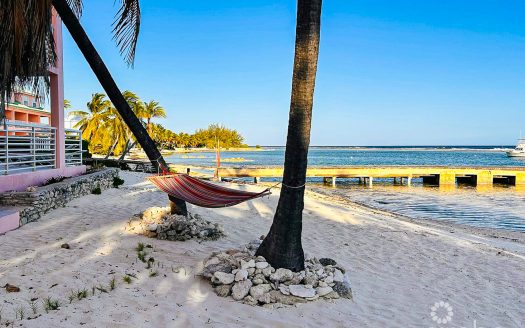 CARIB SANDS OCEANFRONT CONDO