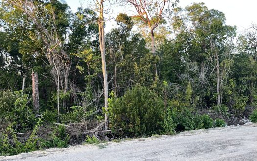 CAYMAN BRAC CENTRAL LAND