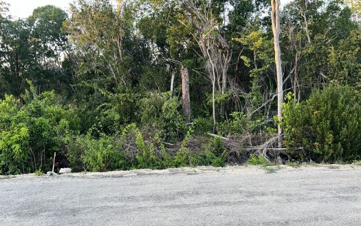 CAYMAN BRAC CENTRAL LAND