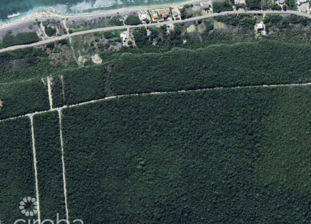 PREMIUM ELEVATED LOT IN THE HEART OF CAYMAN BRAC