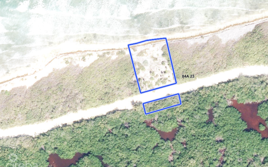 LITTLE CAYMAN BEACH LAND 0 .40 ACRE