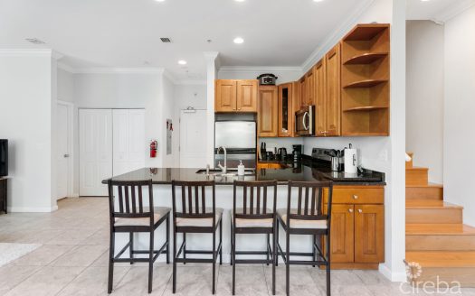 PARK PLACE 33, SEVEN MILE CORRIDOR