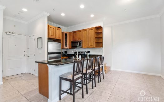 PARK PLACE 33, SEVEN MILE CORRIDOR