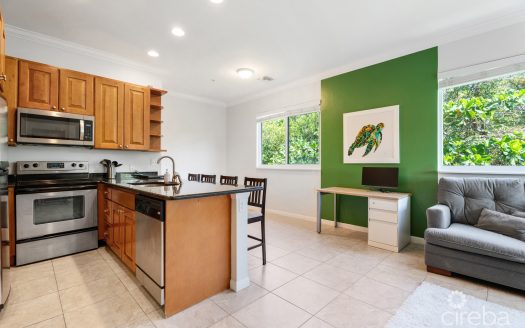 PARK PLACE 33, SEVEN MILE CORRIDOR