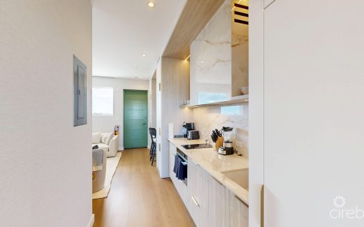 THIRD FLOOR SHORT TERM RENTAL – GROVE TOO