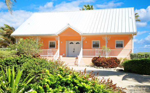 CAYMAN DREAM