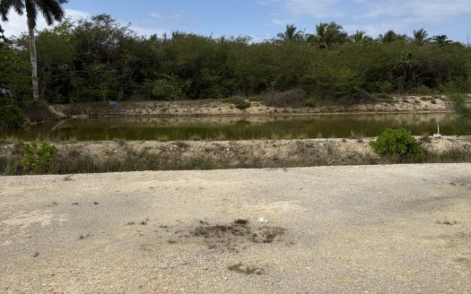 SUNRISE LANDING LOT (LAKE VIEW)