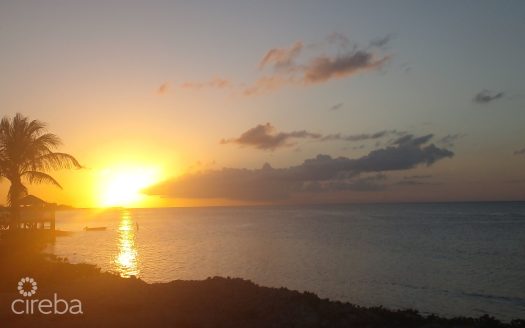 VIDA VISTAS