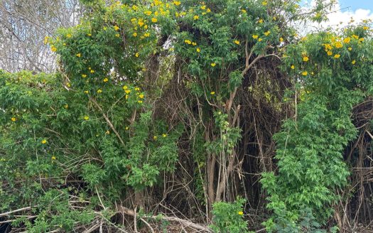 NATURE’S CIRCLE PARCEL