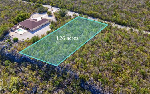 CAYMAN BRAC BLUFF 1.26 ACRES, 50-FT ELEVATION