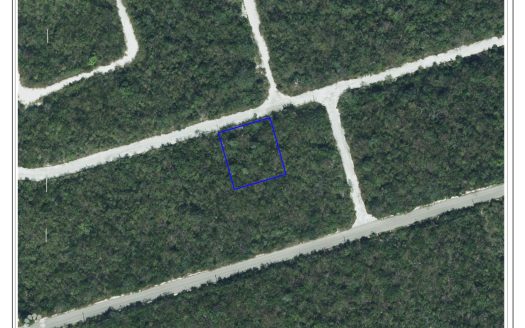 CAYMAN BRAC LOT ON BLUFF AT SELWORTHY GROVES