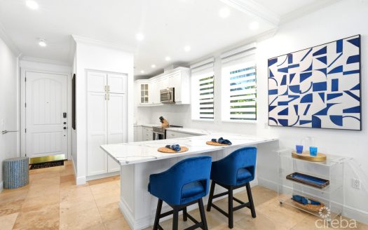 #205 KISHA | PRICELESS OCEANFRONT VIEWS, UNDER A MILLION