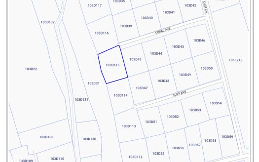 CAYMAN BRAC TWO ADJACENT LOTS