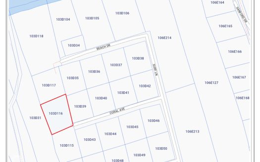 CAYMAN BRAC TWO ADJACENT LOTS