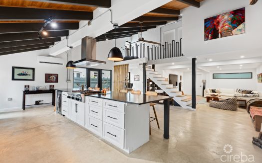 PURA VIDA, SOUTH SOUND HOME PURA VIDA, SOUTH SOUND HOME