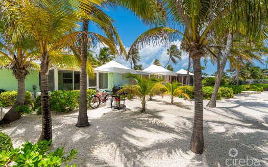 CAYMAN KAI SEA LODGE #13 BEACHFRONT CONDO WITH IMPRESSIVE RENTAL HISTORY