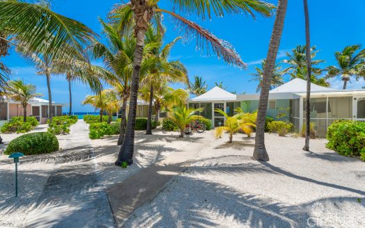 CAYMAN KAI SEA LODGE #13 BEACHFRONT CONDO WITH IMPRESSIVE RENTAL HISTORY