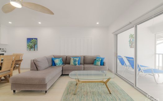 RENOVATED PENTHOUSE DISCOVERY POINT CLUB