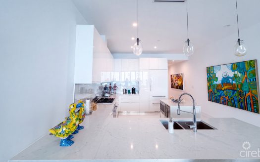 FIN OCEANFRONT CONDO