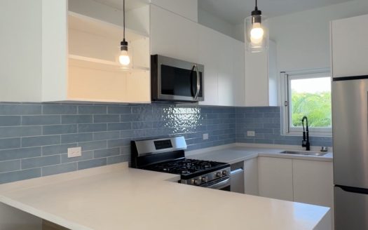ONE BEDROOM, ONE BATHROOM SEAGRAPE UNIT – MEADOWS AT BATABANO ONE BEDROOM, ONE BATHROOM SEAGRAPE UNIT – MEADOWS AT BATABANO