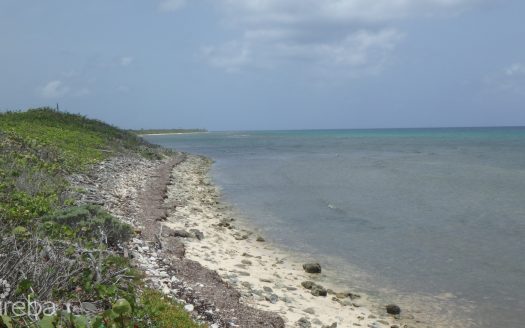 LITTLE CAYMAN NORTH SIDE OCEAN FRONT LAND LITTLE CAYMAN NORTH SIDE OCEAN FRONT LAND
