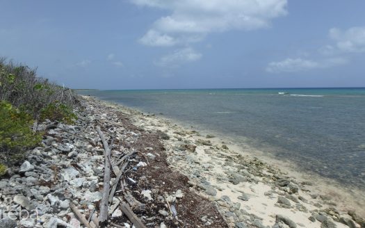LITTLE CAYMAN NORTH SIDE OCEAN FRONT LAND LITTLE CAYMAN NORTH SIDE OCEAN FRONT LAND