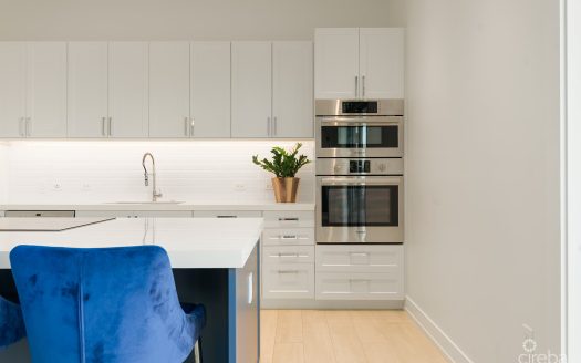 OLEA 3 BEDROOM PENTHOUSE