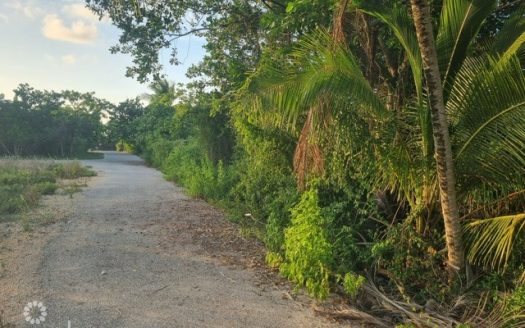 BRAC HOUSE LOT ON HAROLD DRIVE