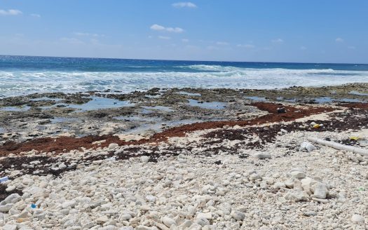 CAYMAN BRAC EAST OCEANFRONT 1.25 ACRES