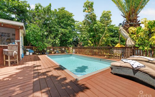 SAVANNAH NEWLANDS FAMILY HOME WITH POOL, OUTSDIE BAR & INCOME-GENERATING GUEST SUITE