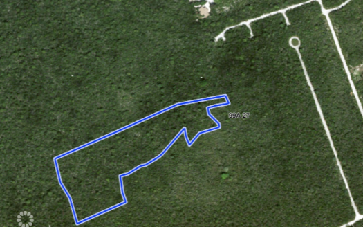 CAYMAN BRAC CENTRAL BLUFF LAND – 7.5 ACRES INVESTMENT PROPERTY